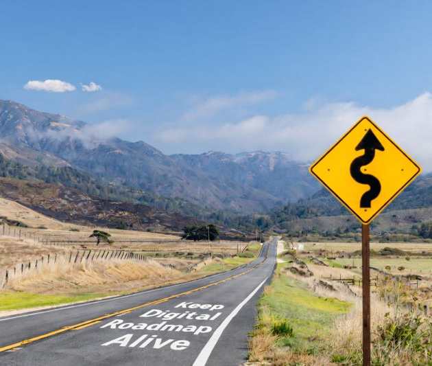 Photo of a road with grassy verges, a yellow diamond sign with a wavy upward arrow and on the road as a road mark is the wording keep digital roadmap alive.