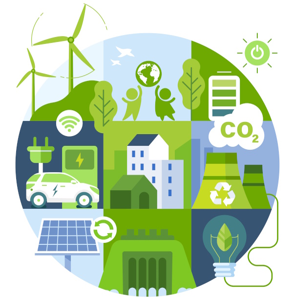 How Custom Software Supports Green Goals with Sustainable Software