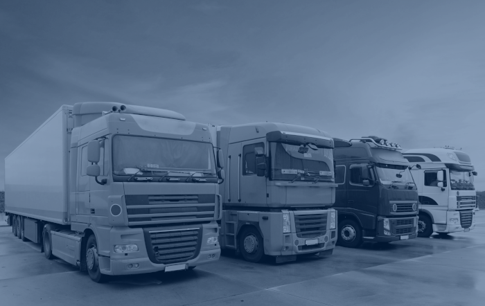 Photo of a fleet of lorries.